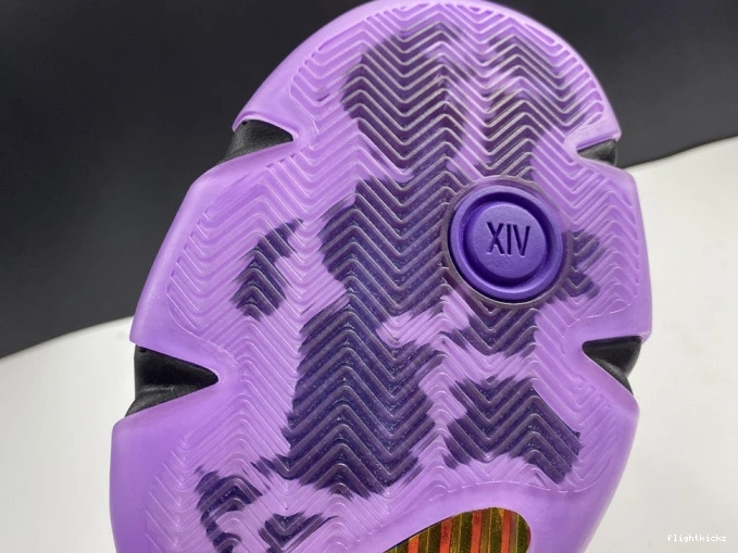 '' 14 AIR DOERNBECHER JORDAN RETRO CV2469-001 0709